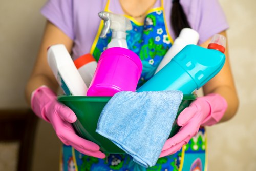 Window cleaning service for SE27 residential and commercial properties