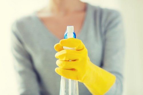 Professional carpet cleaning appointment in a home interior