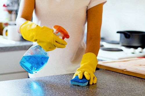 Cleaner working in a SE27 home with local property features