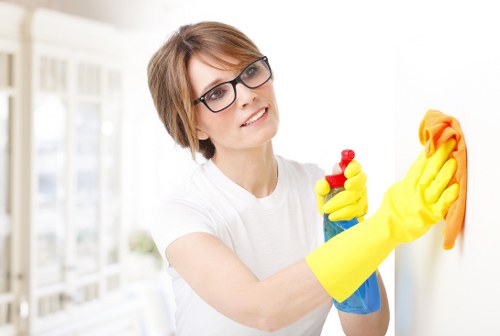 Professional carpet cleaning service for a home in SE27