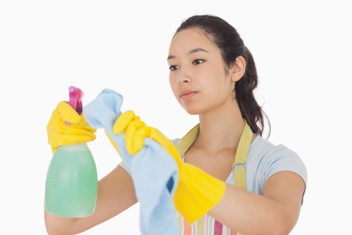 Professional oven cleaning service for homes in SE27