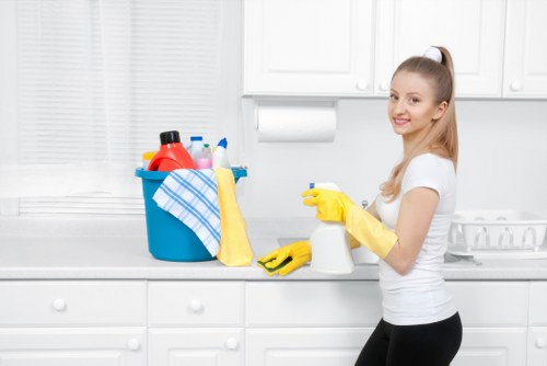 Professional carpet cleaning issue assessment and quality control check