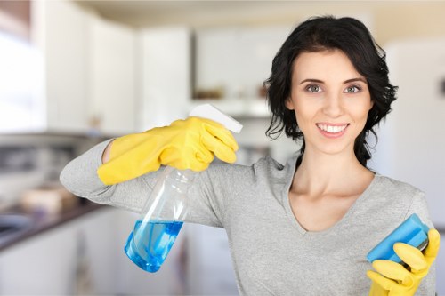 Domestic and commercial cleaning support for flats, houses, and offices in SE27