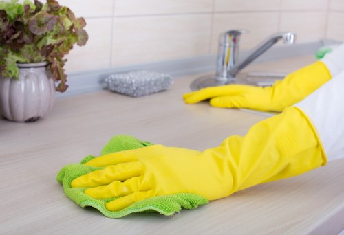 Removing grease from oven racks and trays in SE27