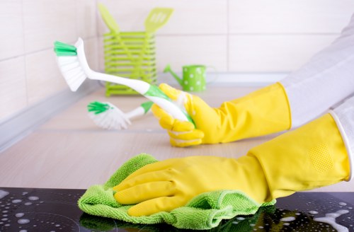 Oven cleaning visit for a flat or house in the SE27 area