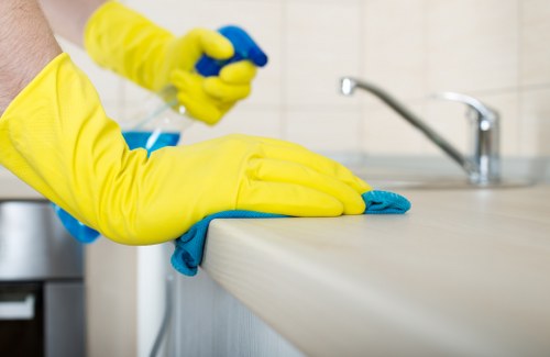 Regular domestic cleaning support for a SE27 family home