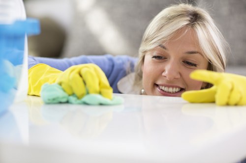 Rug and upholstery cleaning as part of soft furnishing care