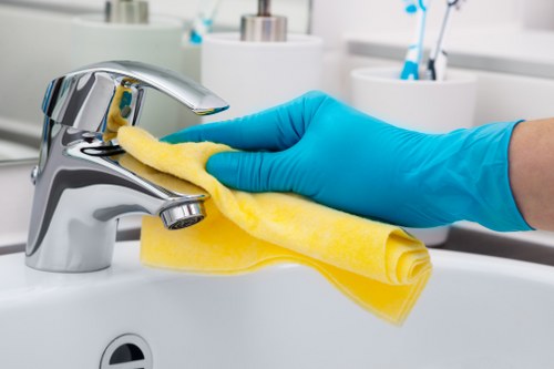 Domestic cleaning tasks for kitchens and bathrooms in SE27