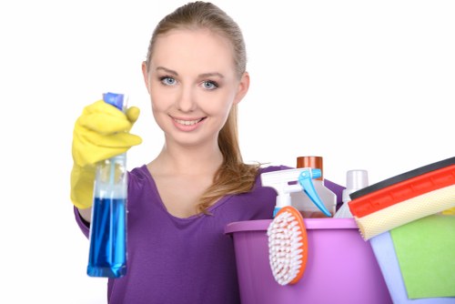 Carpet cleaning equipment prepared for a SE27 appointment