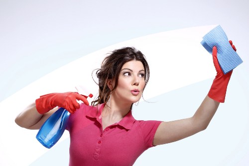 Clean oven and kitchen appliance service in SE27