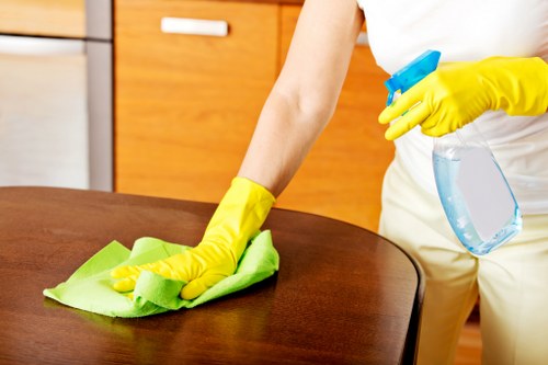 Reliable house cleaning for flats and family homes in SE27